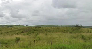 Imóvel 2435710 [''] - ['- Fazenda Renascer'] [''] - ['Colônia Leopoldina']/['AL'] - 1