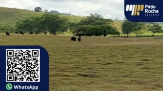 Imóvel 2396410 [''] - [', S/N'] [''] - ['Frei Miguelinho']/['PE'] - 1