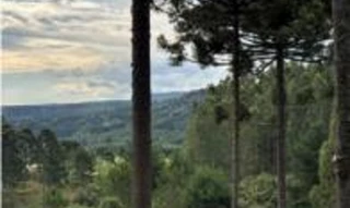 Imóvel 2764710 [''] - ['localidade Cerro Pelado'] [''] - ['Correia Pinto']/['SC'] - 1