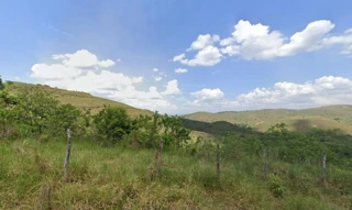 Imóvel 2435711 [''] - ['- Fazenda Abismo'] [''] - ['Maraial']/['PE'] - 1