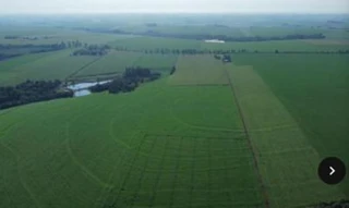 Imóvel 2555611 [''] - ['IMÓVEL RURAL LOTE N° 42-REM DA GLEBA N° 14 (QUATORZE) DO IMOVEL RIO AZUL PIREBOY, NO MUNICÍPIO E COMARCA DE PALOTINA-PR'] [''] - ['Palotina']/['PR'] - 1