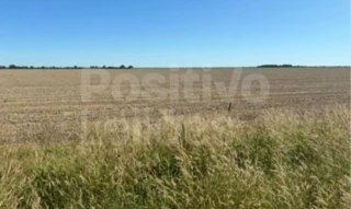 Imóvel 2466311 [''] - ['São Desidério - BA, São Desidério - BA'] [''] - ['São Desidério']/['BA'] - 1