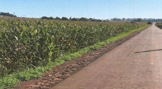 Imóvel 2506311 [''] - ['Fazenda Britânia'] [''] - ['Santa Helena']/['PR'] - 1