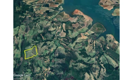 Imóvel 2502511 - Fazenda Cava
