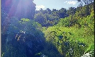 Imóvel 2542512 [''] - ['RUA LAMBARI, 243- CHÁCARA G-2'] ['Jardim Alvorada'] - ['Campo Mourão']/['PR'] - 1