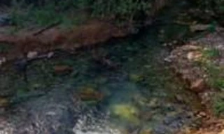 Imóvel 2527412 [''] - ['Faz. Lagoa Azul, Alto Paraguai/MT'] [''] - ['Alto Paraguai']/['MT'] - 1