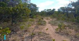 Imóvel 2388512 [''] - ['Lugar RIBEIRÃO DOS BOIS'] [''] - ['Niquelândia']/['GO'] - 1