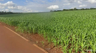 Imóvel 2484912 [''] - ['Lote Rural nº 101, do 1º Perímetro da Gléba Lopeí'] [''] - ['Toledo']/['PR'] - 1