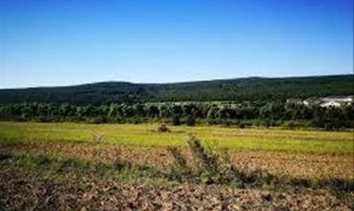 Imóvel 2612612 [''] - ['CAMPO DOS BUENOS, distrito de Pinheiros'] [''] - ['Canoinhas']/['SC'] - 1