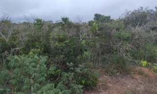 Imóvel 2742313 [''] - ['Rodovia MT-251, KM 12'] [''] - ['Chapada Dos Guimarães']/['MT'] - 1