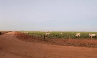 Imóvel 2810013 [''] - ['Rodovia Emanuel Pinheiro, Km 30, Campo Verde, MT'] [''] - ['Campo Verde']/['MT'] - 1