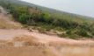 Imóvel 2339113 [''] - ['Lote rural nº. 45, Gleba nº. 70, Projeto Integrado de Colonização Paulo de Assis Ribeiro'] [''] - ['Corumbiara']/['RO'] - 1