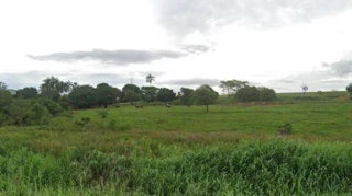 Imóvel 2378813 [''] - ['Fazenda Cruzeiros, margem esquerda do Córrego Tamanduá, BR 050'] [''] - ['Uberlândia']/['MG'] - 1
