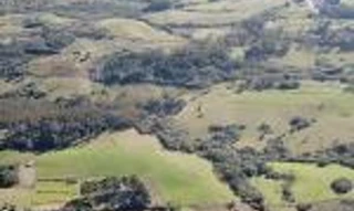 Imóvel 1499713 [''] - ['Estrada do Colorado'] [''] - ['Morro Redondo']/['RS'] - 1