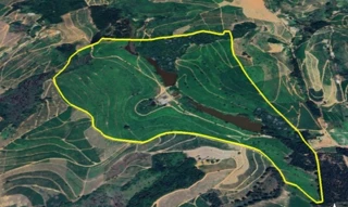 Imóvel 2522713 [''] - ['Córrego do Ouro, - Mantenópolis - ES'] [''] - ['Mantenópolis']/['ES'] - 1