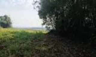 Imóvel 2325113 [''] - ['Linha Butiá'] [''] - ['Campina Das Missões']/['RS'] - 1