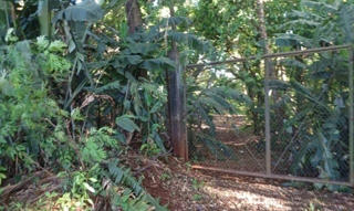 Imóvel 2655414 [''] - ['Rodovia BR 369 (antiga BR - 87)'] [''] - ['Londrina']/['PR'] - 1