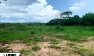 Imóvel 2405814 [''] - [', Guiratinga, MT'] [''] - ['Guiratinga']/['MT'] - 1