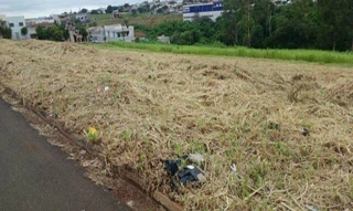 Imóvel 2364014 [''] - ['RESIDENCIAL ITAMARATI, GLEBA JACUTINGA'] ['Conj. Res. Itamaraty'] - ['Londrina']/['PR'] - 1