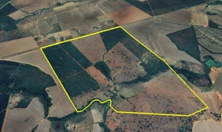 Imóvel 2520114 [''] - ['Fazenda Piau, - Pompéu - MG'] [''] - ['Pompéu']/['MG'] - 1