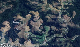 Imóvel 2593914 [''] - ['Fazenda Rio Bonito'] [''] - ['Vidal Ramos']/['SC'] - 1