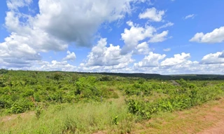 Imóvel 2768115 [''] - ['TO-164, Goianorte - TO, 77695-000'] [''] - ['Goianorte']/['TO'] - 1