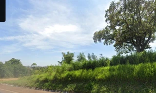 Imóvel 2382216 [''] - ['Rod. Br 369, sn'] [''] - ['Jataizinho']/['PR'] - 1