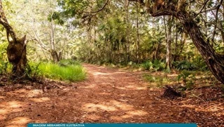 Imóvel 2763016 [''] - ['Estrada Doutor Bezerra de Menezes, 900, Jardim Torrão de Ouro II, São José dos Campos, SP'] ['Jardim Torrao de Ouro'] - ['São José Dos Campos']/['SP'] - 1