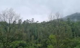 Imóvel 2511916 [''] - ['Picada Alto, Tamanduá, Marques de Souza'] [''] - ['Marques De Souza']/['RS'] - 1