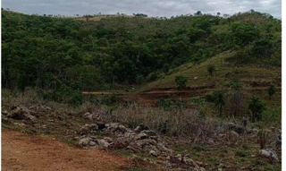 Imóvel 2724116 [''] - ['Fazenda Palmeiras do Maranhão'] [''] - ['Campinaçu']/['GO'] - 1