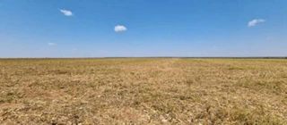 Imóvel 2875216 [''] - ['Fazenda Esmeralda'] [''] - ['Brasnorte']/['MT'] - 1