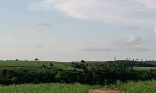 Imóvel 2807116 [''] - [', sn'] [''] - ['Vicência']/['PE'] - 1