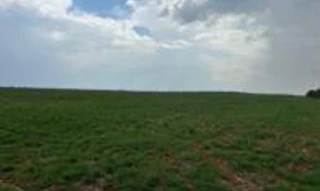 Imóvel 2553716 [''] - ['Fazenda Arapongas I (Parte da Fazenda Bela Vista), Linha Morocó'] [''] - ['Sorriso']/['MT'] - 1