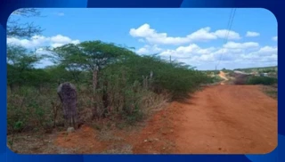 Imóvel 2022216 [''] - [', SN - ZONA RURAL'] [''] - ['Ouricuri']/['PE'] - 1