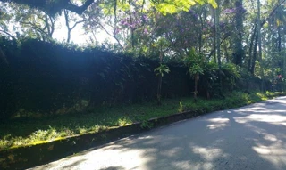 Imóvel 2645017 [''] - ['Avenida Doutor Luis Felipe Franca Ramos, nº 1.000, Roseira - Mairiporã/SP'] [''] - ['Mairiporã']/['SP'] - 1