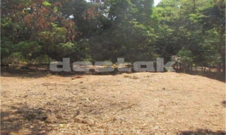 Imóvel 2038717 [''] - ['Rua Joaquim Lúcio, Residencial Barravento - Goiânia - GO'] ['Chácaras Maria Dilce'] - ['Goiânia']/['GO'] - 1