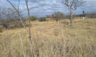 Imóvel 2358917 [''] - ['Sítio Boa Esperança - nas terras da Fazenda São Bento'] [''] - ['Dormentes']/['PE'] - 1