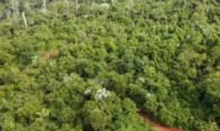 Imóvel 2373417 [''] - ['Córrego Piraju, Córrego Consolidade, Córrego Sulidade e Terra Roxa, Distrito de Jurama'] [''] - ['Vila Valério']/['ES'] - 1