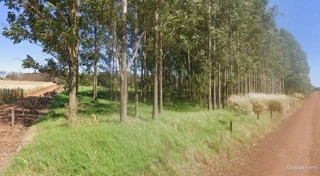 Imóvel 2826417 [''] - ['Lote Rural n° 137-A, do 38º Perímetro da Fazenda Britânia'] [''] - ['Mercedes']/['PR'] - 1