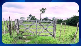Imóvel 2617317 [''] - ['Avenida Afonso Olindense, nº 106, Bairro da Várzea'] [''] - ['Sairé']/['PE'] - 1