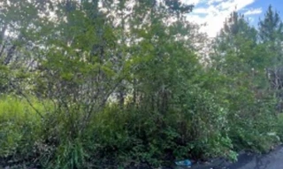 Imóvel 2628518 [''] - ['Abrão Bernardino Rocha, S/N, Lote N°02 Condomínio Horizontal Familia Scaburri - Fazenda - Itajaí,, , Itajaí/SC'] ['Fazenda'] - ['Itajaí']/['SC'] - 1