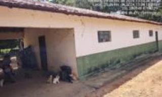 Imóvel 2733218 [''] - ['Fazenda Camerum, cravado à margem direita do Córrego São Pedro'] [''] - ['Dianópolis']/['TO'] - 1