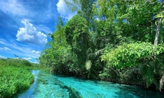 Imóvel 2562618 [''] - ['Fazenda Baraúna - Bonito/MS'] [''] - ['Bonito']/['MS'] - 1