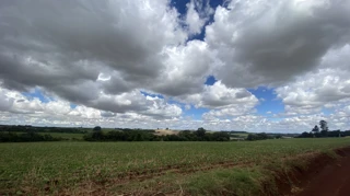 Imóvel 2625618 [''] - ['Rua Sete de Setembro, nº 899, Centro'] ['Centro'] - ['Cerro Largo']/['RS'] - 1