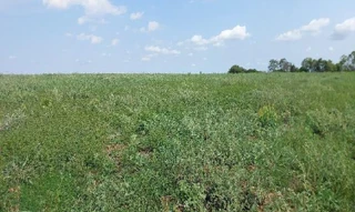 Imóvel 2742118 [''] - ['lugar denominado Fazenda 2 Princesas, Área rural - Ipameri/GO'] ['Sn'] - ['Ipameri']/['GO'] - 1