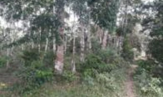 Imóvel 2527318 [''] - ['Estrada Buerarema x Vila Brasil, Zona do Maruim'] [''] - ['Una']/['BA'] - 1