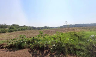 Imóvel 2768118 [''] - ['Assentamento Sávio, São Miguel do Iaguçu, PR'] [''] - ['São Miguel Do Iguaçu']/['PR'] - 1