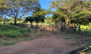 Imóvel 2772119 [''] - ['Fazenda Maktub/ parte 2'] [''] - ['Juramento']/['MG'] - 1