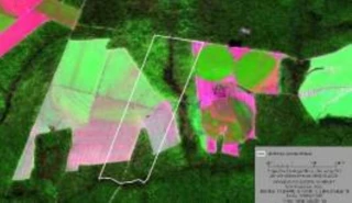 Imóvel 2635419 [''] - ['Gleba Selva Denominada Fazenda Primavera Vii, 0, Nova Maringá, Nova Maringá - MT'] [''] - ['Nova Maringá']/['MT'] - 1