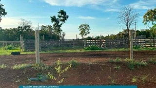 Imóvel 2776619 [''] - ['Peixe, TO'] [''] - ['Peixe']/['TO'] - 1